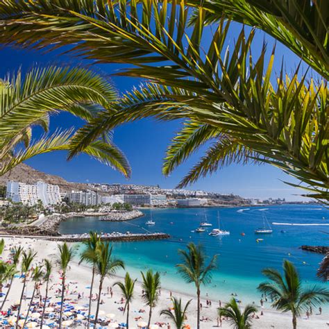 Gran Canaria Info - Best Gran Canaria guide, since 1998